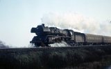 751122Berlin Wuhlheide 301