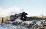 760101Berlin Wuhlheide 301