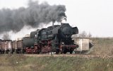 760417Berlin Wuhlheide 501