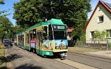 220603Kirschenstr 024