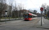 Sachsenallee 2008