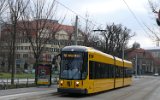 Sachsenallee 2008