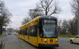 Sachsenallee 2008