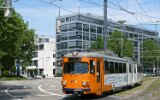 Römerplatz 2009
