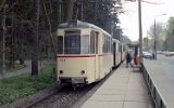 Neuer Friedhof 1989