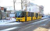 Lustgarten 2014