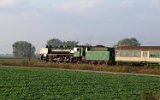 Granowo 2007