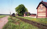 Tłoki 1994