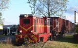 Kaliska KD 2006
