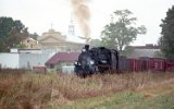 Goliszew 1999