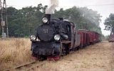 Kaliska KD 1999
