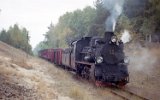 Kaliska KD 1999