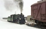 Niechanowo 1996