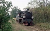 Wilcze Tuowskie 1992