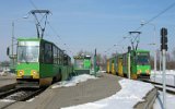 050303Poznan 024