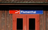 080811Flumenthal 001