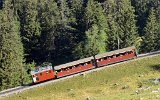 0320 SPB120811SchynigePlatte 002