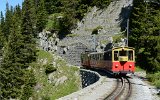 0470 SPB120811SchynigePlatte 094