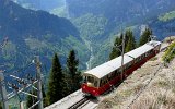 0600 SPB100522SchynigePlatte 045