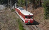 0560 ZB LSE100417Gruenenwald 004